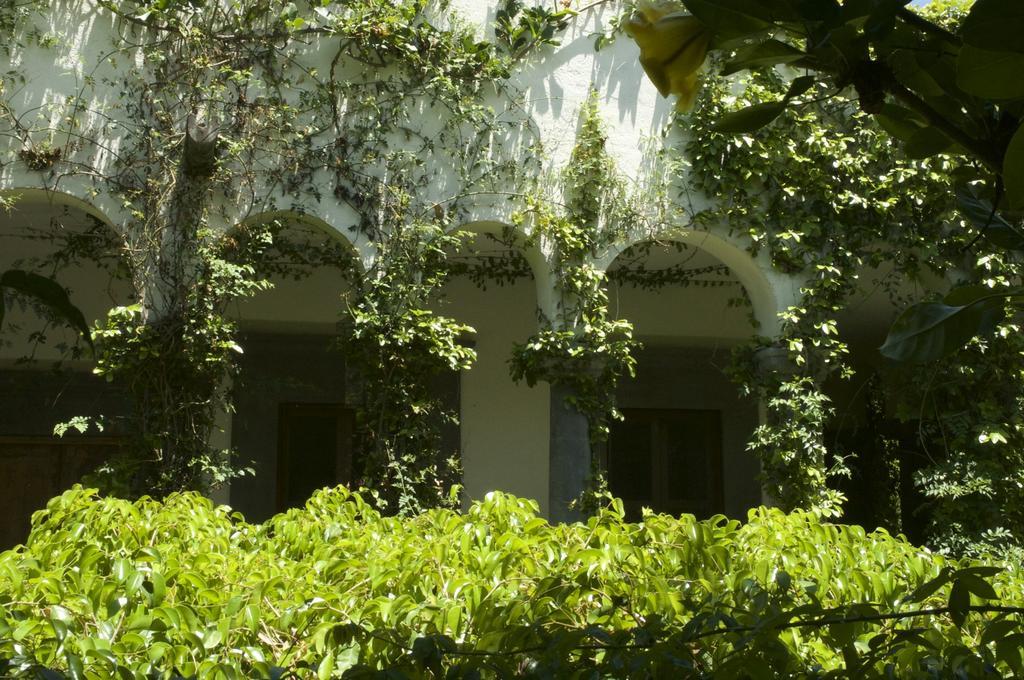 Casa Mision De San Miguel Hotel San Miguel de Allende Ngoại thất bức ảnh